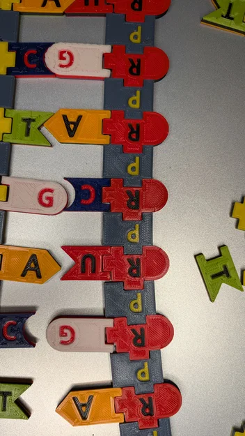 Magnetic DNA / RNA Tiles (Bộ gạch từ tính DNA / RNA) - Image 7