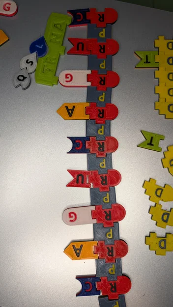 Magnetic DNA / RNA Tiles (Bộ gạch từ tính DNA / RNA) - Image 8