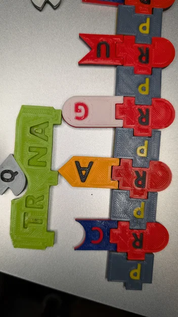 Magnetic DNA / RNA Tiles (Bộ gạch từ tính DNA / RNA) - Image 10