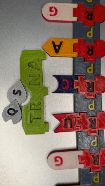 Magnetic DNA / RNA Tiles (Bộ gạch từ tính DNA / RNA) - Image 11