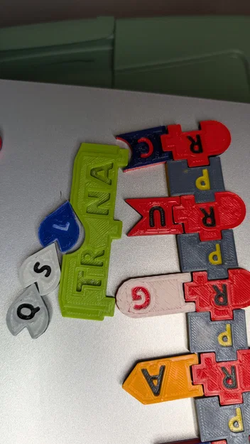 Magnetic DNA / RNA Tiles (Bộ gạch từ tính DNA / RNA) - Image 12