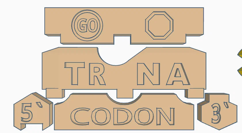 Magnetic DNA / RNA Tiles (Bộ gạch từ tính DNA / RNA) - Image 24