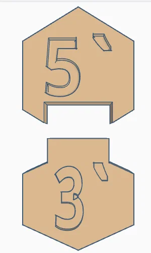 Magnetic DNA / RNA Tiles (Bộ gạch từ tính DNA / RNA) - Image 26