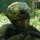JakubPerina_1626603