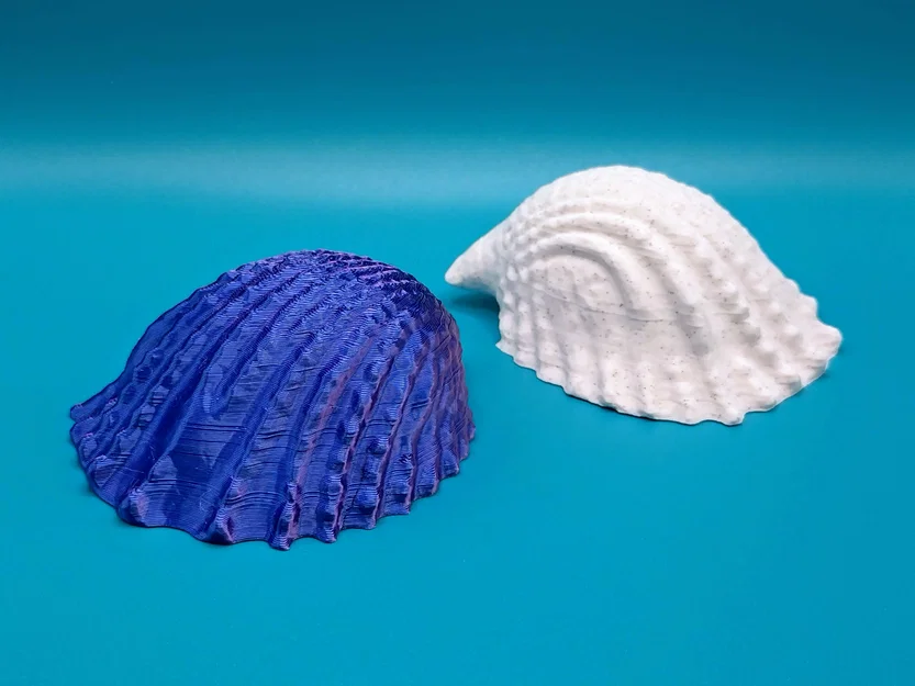 Mô hình vỏ ốc biển trang trí 3D in không cần support (Conch) - Image 1