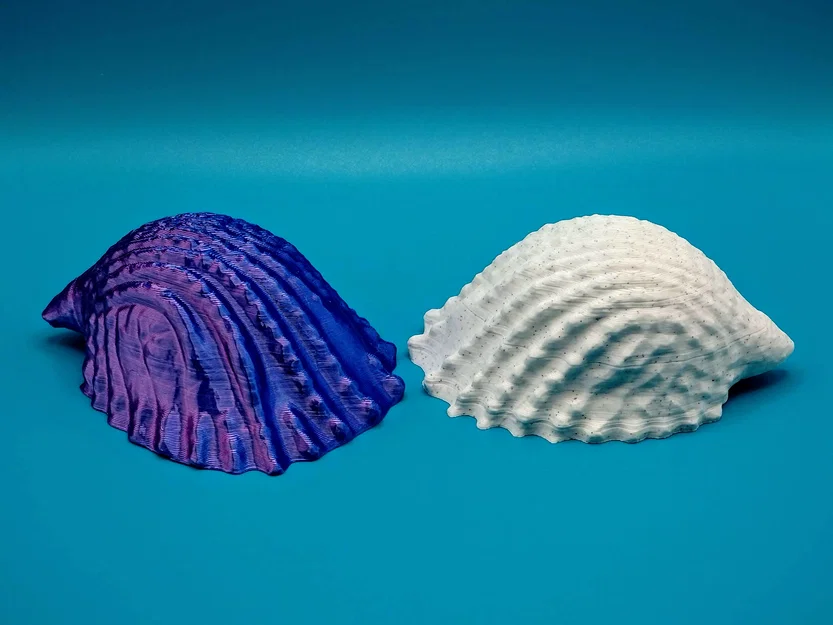 Mô hình vỏ ốc biển trang trí 3D in không cần support (Conch) - Image 2