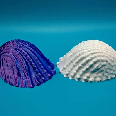 Mô hình vỏ ốc biển trang trí 3D in không cần support (Conch)