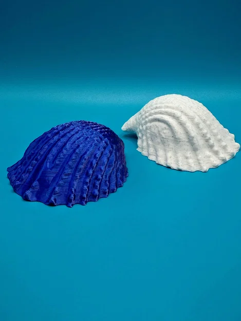 Mô hình vỏ ốc biển trang trí 3D in không cần support (Conch) - Image 3