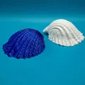 Mô hình vỏ ốc biển trang trí 3D in không cần support (Conch) - Thumbnail 3