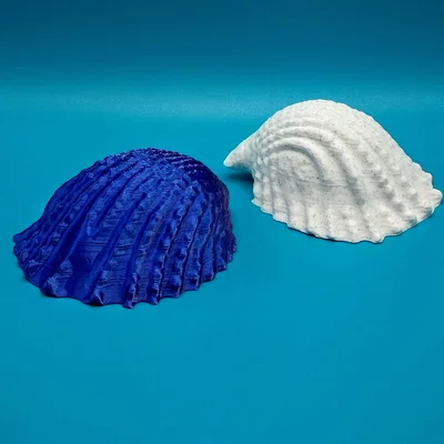 Mô hình vỏ ốc biển trang trí 3D in không cần support (Conch)
