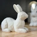 Tượng chú thỏ nằm (Poly Hase) - Mô hình 3D trang trí độc đáo - Thumbnail 1