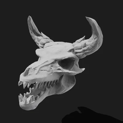 Mô hình đầu rồng (Dragon skull)