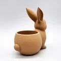 Chậu trồng sen đá hình chú thỏ - Bunny Succulent Planter 1 - Thumbnail 5