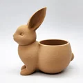 Chậu trồng sen đá hình chú thỏ - Bunny Succulent Planter 1 - Thumbnail 6