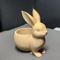 Chậu trồng sen đá hình chú thỏ - Bunny Succulent Planter 1 - Thumbnail 7
