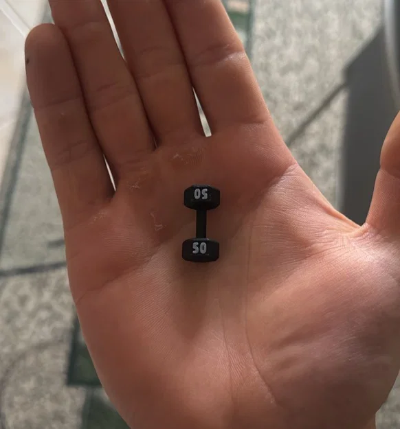 Mô hình tạ tay 50 Pound mini - Đồ trang trí độc đáo cho người mê Gym - Image 2