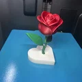 Mô hình hoa hồng 3D trên đế để bàn - Dễ in, chỉ 3 lần đổi màu - Thumbnail 5