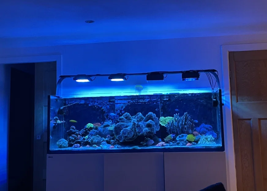 Chụp chắn sáng (Lightshade) cho đèn Radion XR15 Gen 5 - Image 3