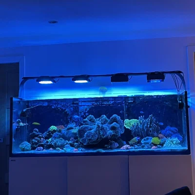 Chụp chắn sáng (Lightshade) cho đèn Radion XR15 Gen 5