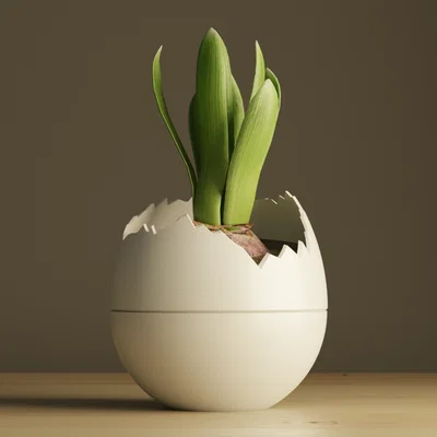 Chậu cây hình trứng nứt (Plant Pot Egg)