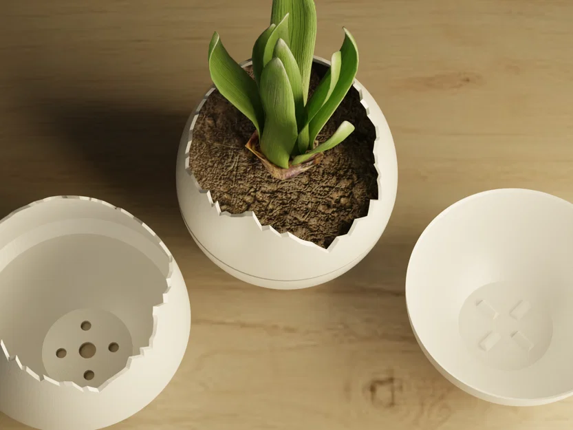 Chậu cây hình trứng nứt (Plant Pot Egg) - Image 2