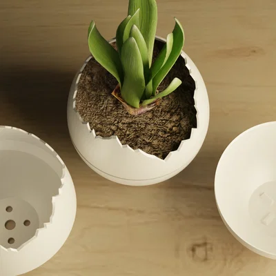 Chậu cây hình trứng nứt (Plant Pot Egg)