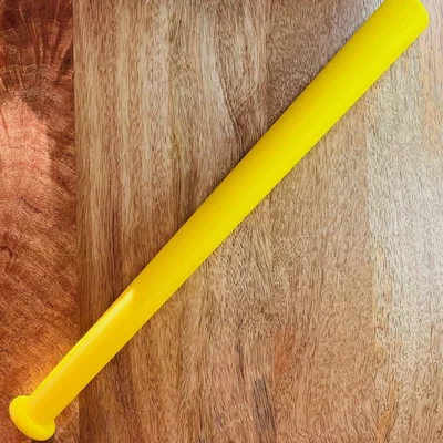 Đồ chơi gậy bóng chày 16 inch