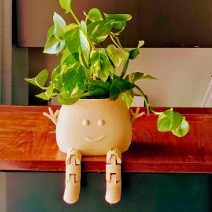 Chậu Cây Vui Vẻ (Happy Plant Pot) - Mô hình in 3D có chân cử động