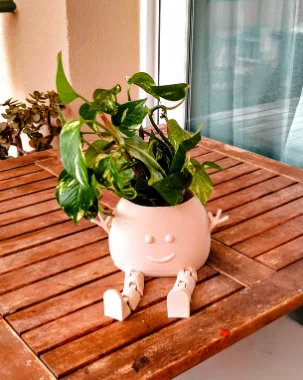 Chậu Cây Vui Vẻ (Happy Plant Pot) - Mô hình in 3D có chân cử động - Image 2