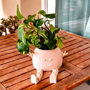 Chậu Cây Vui Vẻ (Happy Plant Pot) - Mô hình in 3D có chân cử động