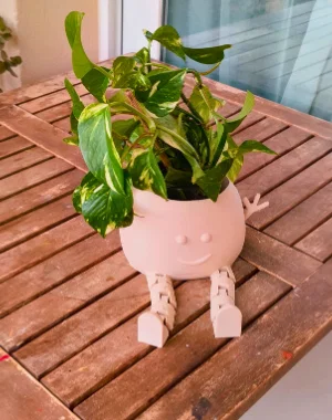 Chậu Cây Vui Vẻ (Happy Plant Pot) - Mô hình in 3D có chân cử động - Image 3