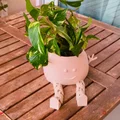 Chậu Cây Vui Vẻ (Happy Plant Pot) - Mô hình in 3D có chân cử động - Thumbnail 3