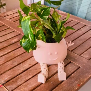 Chậu Cây Vui Vẻ (Happy Plant Pot) - Mô hình in 3D có chân cử động