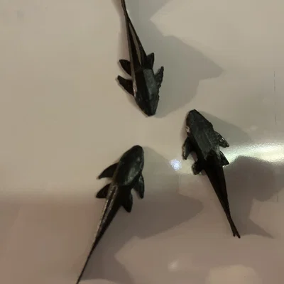 Nam châm hình cá Pleco