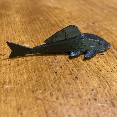 Nam châm hình cá Pleco