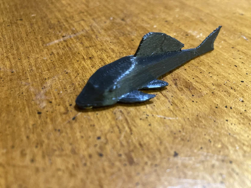 Nam châm hình cá Pleco - Image 6