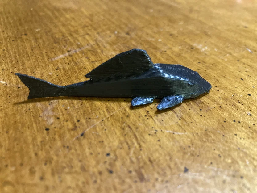 Nam châm hình cá Pleco - Image 7