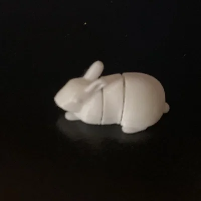 Chú Thỏ Dễ Thương Linh Hoạt (In trực tiếp - Print in place)