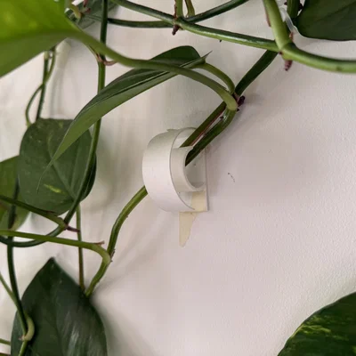 Móc Treo Cây Leo (Plant Hook)