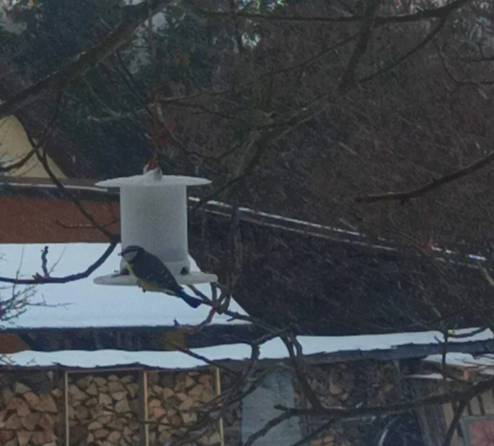 Mô hình máng ăn cho chim - Image 1