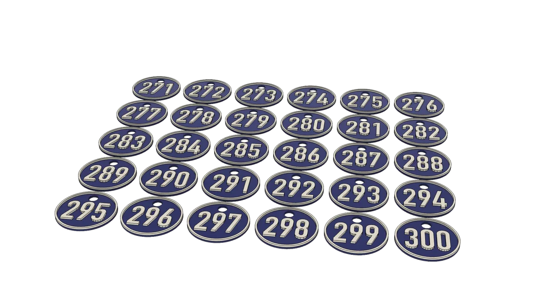 Bộ móc khóa đánh số từ 1 đến 300 và tag trống - Image 2