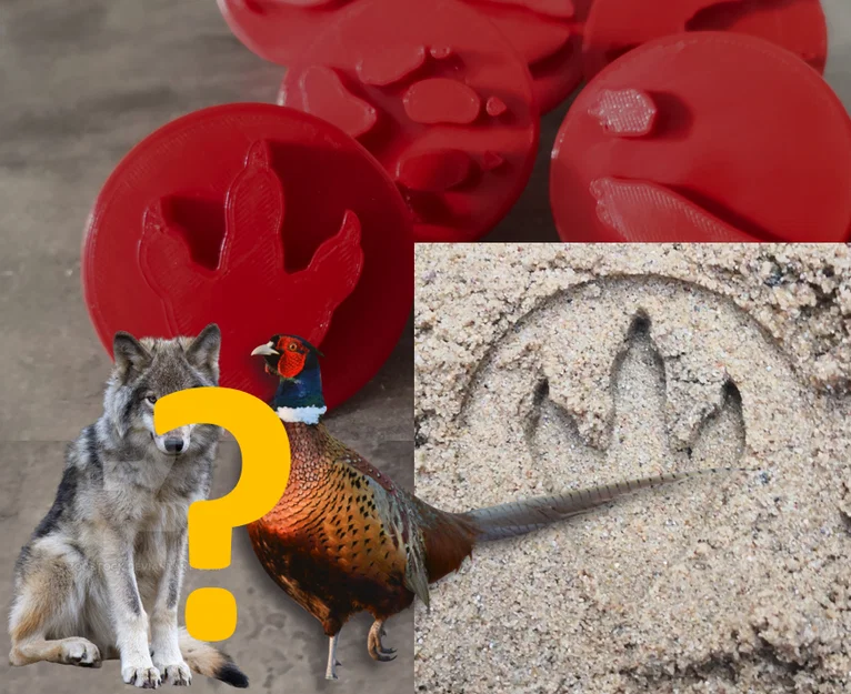 Bộ con dấu hình dấu chân động vật cho bé - Image 1