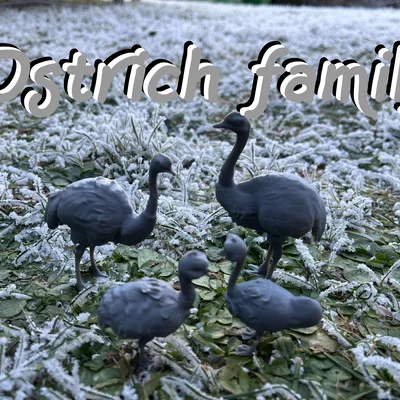 Mô hình Gia đình Đà điểu (Ostrich family)