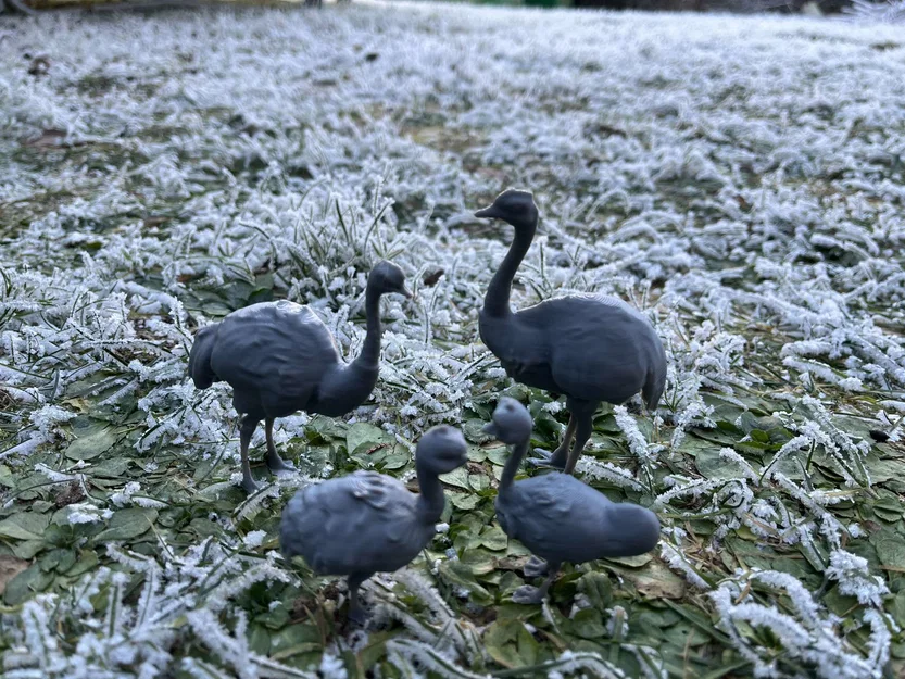 Mô hình Gia đình Đà điểu (Ostrich family) - Image 2