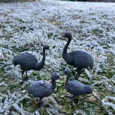 Mô hình Gia đình Đà điểu (Ostrich family)
