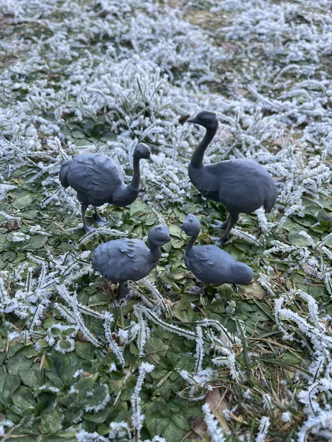 Mô hình Gia đình Đà điểu (Ostrich family) - Image 6