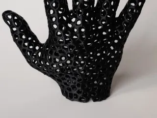 Bàn tay họa tiết Voronoi (Voronoi hand) - Image 2