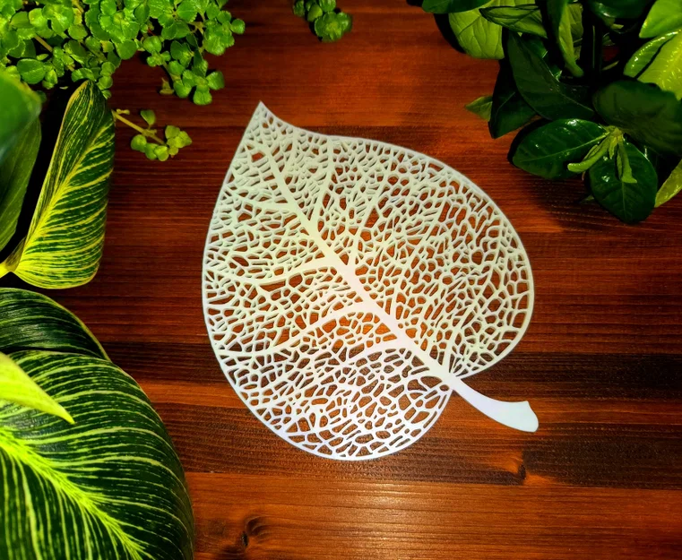 Lá Đoạn (Linden Leaf) Thiết Kế Voronoi - Image 2