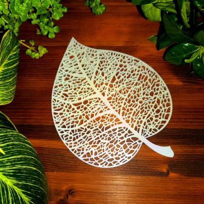 Lá Đoạn (Linden Leaf) Thiết Kế Voronoi