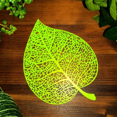 Lá Đoạn (Linden Leaf) Thiết Kế Voronoi